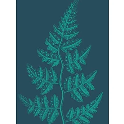 Image of Wee Blue Coo Navy And Teal Fern Leaf Unframed Art Print Poster Wall Decor 12x16 inch