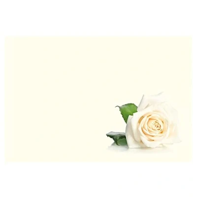 Image of Pack of 9 Large Blank Florist Cards 12.5 x 9cm Flower Sympathy Message Style Choice (White Rose/Cream Background)