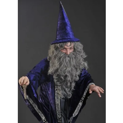 Image of Bristol Novelty Grey Wizard Merlin Wig and Beard Set