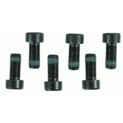 Image of N906650 Screw Set, flywheel SACHS 1874 000 003 VOLKSWAGEN: Passat B6 Saloon, Golf 5, Transporter 6, AUDI: TT Coupe, A4 B7 Avant, B5 Avant
