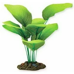 Image of Silk Aquarium Plant Sword Radicans 20cm