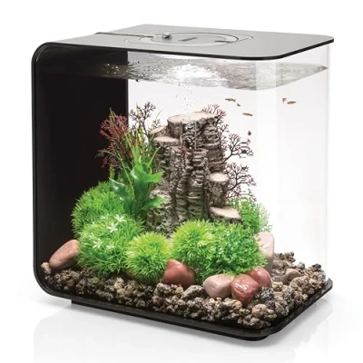 Image of OASE biOrb 72033 FLOW 30 LED in black