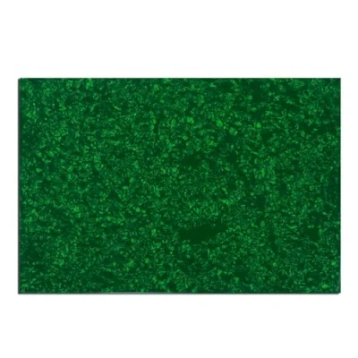 Image of Musiclily 435x290mm Pickguard Material Blank Scratch Plate DIY Custom Sheet for Electric Guitar Bass, 4Ply Green Pearl