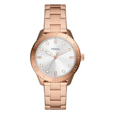 Image of Fossil BQ3886 Ladies Dayle Watch