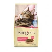 Image of Burgess Adult Cat Scottish Salmon 10kg pack of 1