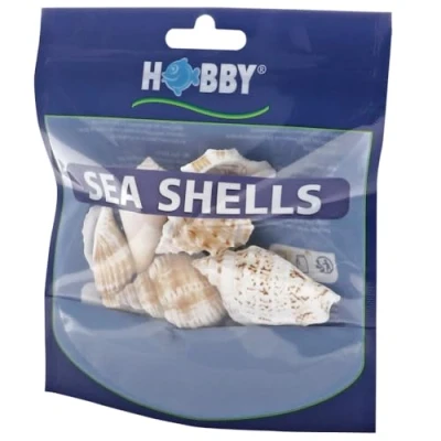 Image of Hobby Sea Shells Set