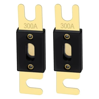 Image of Heschen ANL Fuse 300 Amp for Car Vehicles Audio System Sheet Gold Tone &amp; Black 2 Pack