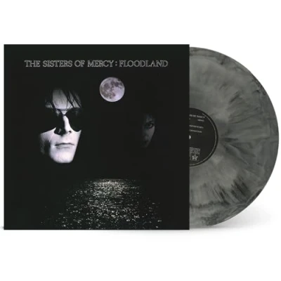 Image of Floodland (National Album Day Black Ice Vinyl) [VINYL]