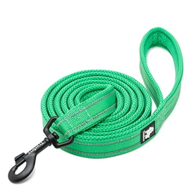 Image of WINHYEPET True Love Dog Leash Nylon Reflective Comfortable Handle Lead Puppy Training Walking Rope Easy Control Suitable Small Medium Large Breeds 110cm Length TLL2111(Grass Green,M)