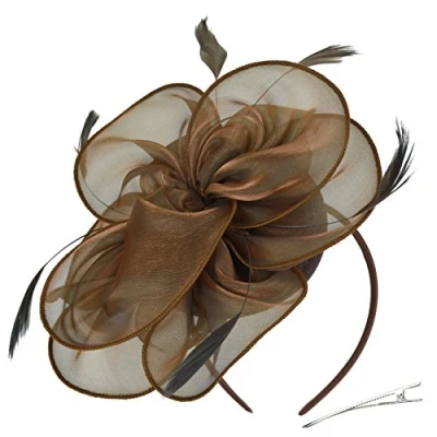 Image of DRESHOW Fascinators Hat for Women Cocktail Tea Party Headwear Flower Mesh Ribbon Feathers Headband