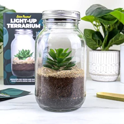 Image of Gift Republic Light Up Terrarium Create a magical mini garden.