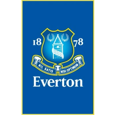 Image of Everton FC Crest Rug