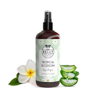 Image of Belly Chamomile Dog Spray for Smelly Dogs Natural Perfume &amp; Deodorant Spray, Long Lasting Smell Eliminator Cologne Freshens Coat, Neutralizes Odors, Vegan Formula Daily Use, 250ml