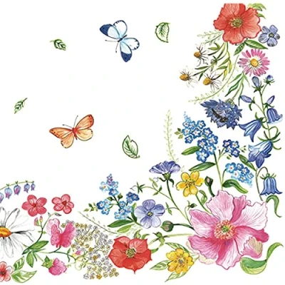 Image of DAISY 3 Ply Spring Flowers Tissue Paper Napkins Serviettes for Decoupage Lunch 33cm x Pack of 20 (Blossom Border) (21301SDOG)