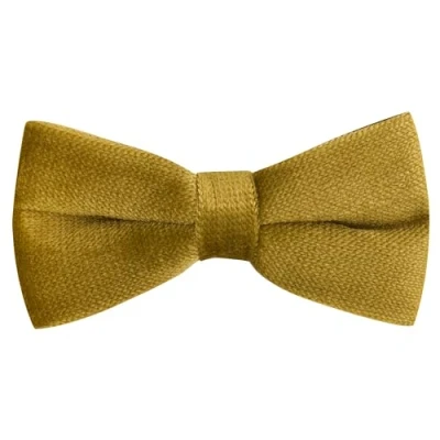Image of King &amp; Priory Luxury Antique Gold Textured Velvet Bow Tie