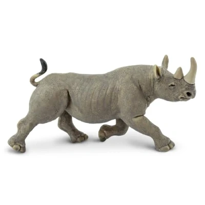 Image of Black Rhino