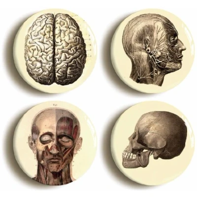 Image of 4 x&quot;ANATOMY&quot; BADGES PINS BUTTONS (1inch/25mm diameter) MEDICAL DOCTOR NURSE