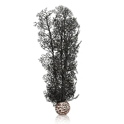 Image of biOrb Horn Coral M Black
