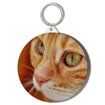 Image of Gift Insanity GINGER CAT FACE LARGE 58mm ROUND KEYRING