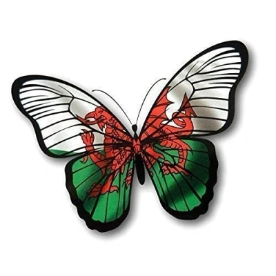 Image of Sticar it Ltd Beautiful Butterfly Welsh Wales CYMRU Flag Vinyl Car Sticker Decal Small 130x90mm approx.