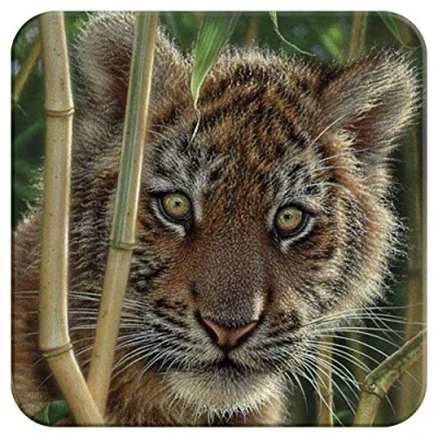 Image of 3D LiveLife Cork Coaster Discovery from Deluxebase. Lenticular Tiger Coaster. Non slip drinks mat with original artwork licensed renowned artist, Collin Bogle