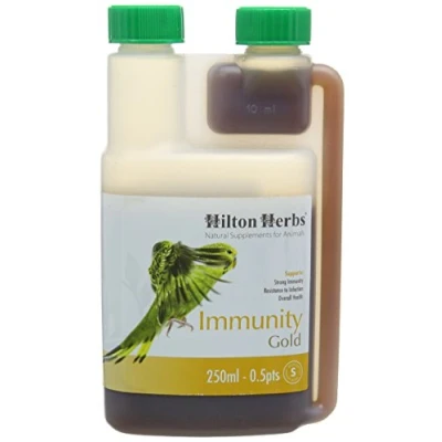 Image of Hilton Herbs Immunity Gold 250 ml