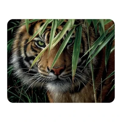 Image of 3D LiveLife Magnet Emerald Forest from Deluxebase. Lenticular Tiger Fridge Magnet. Magnetic decor for kids and adults with artwork licensed renowned artist, Collin Bogle
