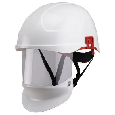 Image of ProGARM 2660 ARC Flash Class 1 Helmet with Integral Visor White