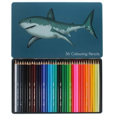 Image of Rex London Sharks 36 Colouring Pencils in a Tin