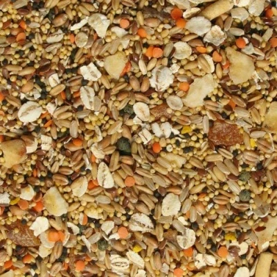 Image of Tidymix Premium Quality Budgie Diet Seed Blend (2.30 kg), For Small Birds like Budgies, Parakeets, Parrotlet, Lovebirds, Quaker, Canary, Red Faced Parrot