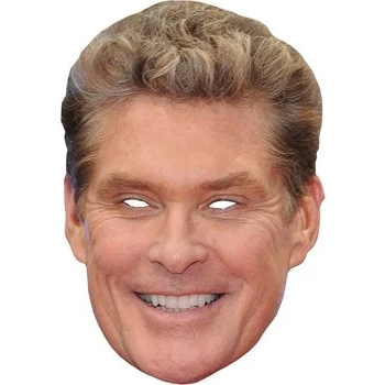 Image of FoxyPrinting David Hasselhoff Celebrity Cardboard Party Face Mask Fancy Dress