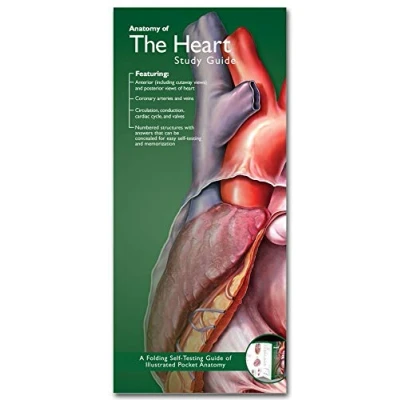 Image of Anatomical Chart Company&#039;s Illustrated Pocket Anatomy: Anatomy of the Heart Study Guide