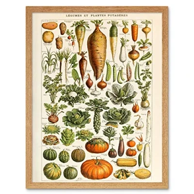 Image of Artery8 Millot Encyclopedia Page Vegetables Legumes Art Print Framed Poster Wall Decor 12x16 inch