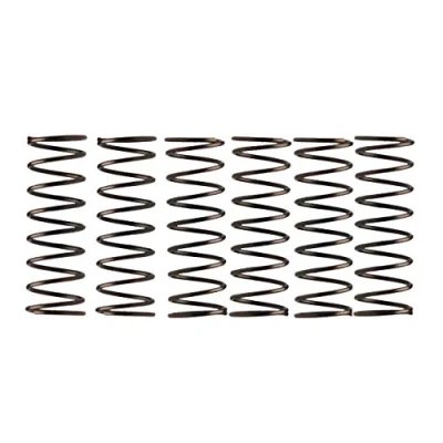 Image of Campagnolo Componentry Spares Hubs Pawl Spring, 6 FH RE014 Pieces, Black