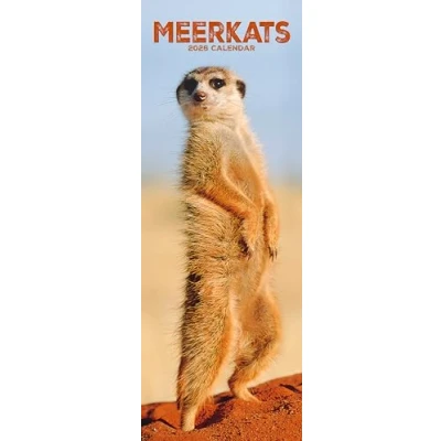 Image of Meerkats Slim Calendar 2026