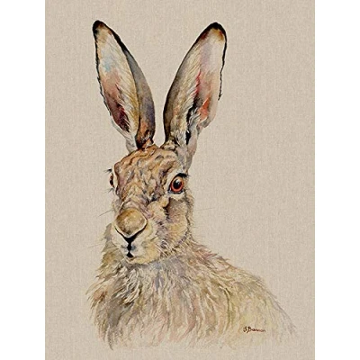Image of Jane Bannon Canvas, Multi Colour, 60 x 80 cm