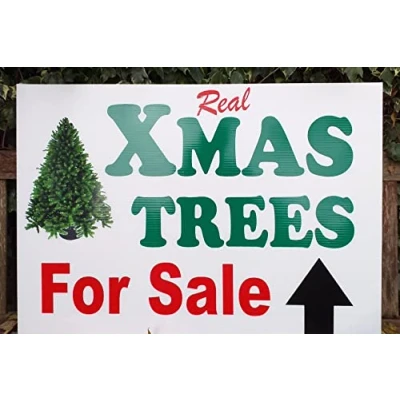 Image of Christmas Xmas Trees for Sale Signs (A2, Arrow straight)