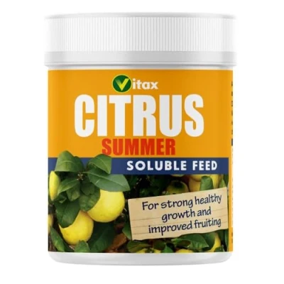 Image of Vitax Summer Citrus Food High Nitrogen Fertilizer for Plants, Promotes Growth and Abundant Fruiting Preventing Premature Ripening Leaf Discoloration 200g Pack By Thompson &amp; Morgan