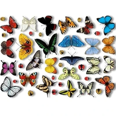 Image of 25 Realistic Butterflies &amp; 17 Ladybird Window Clings by Articlings Non Adhesive Stickers Quickly Decorate and Brighten Your Windows
