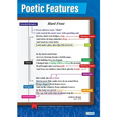 Image of Poetic Features English Posters Laminated Gloss Paper measuring 850mm x 594mm (A1) Language Classroom Education Charts by Daydream