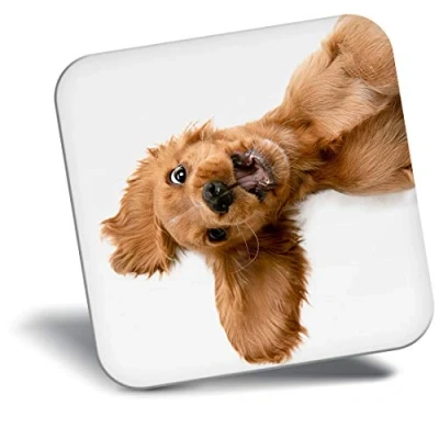 Image of Destination Vinyl ltd Fridge Magnet English Cocker Spaniel Puppy Dog 21501