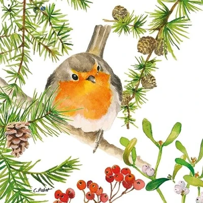 Image of 20 Napkins Christmas Robin on Winter Branch as Table Decoration Paper with Motif Also for Decoupage and 33 x cm