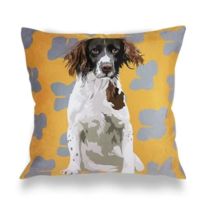 Image of Leslie Gerry Springer Spaniel Cushion Cover