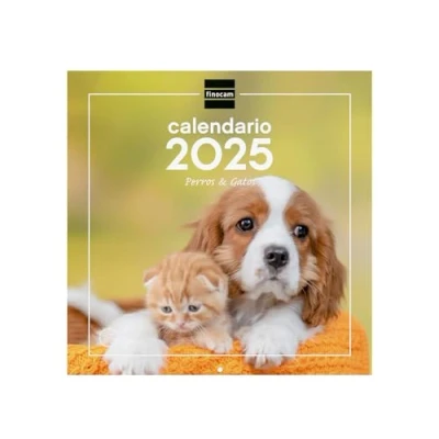 Image of Finocam Calendar Wall Pictures 30x30 to Write 2025 Month View January December (12 months) Dogs and cats Spanish