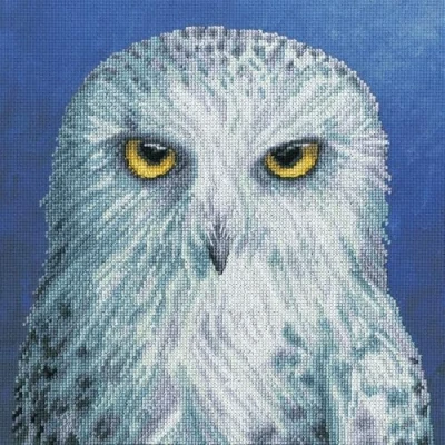 Image of Bothy Threads Counted Cross Stitch Kit Wisdom