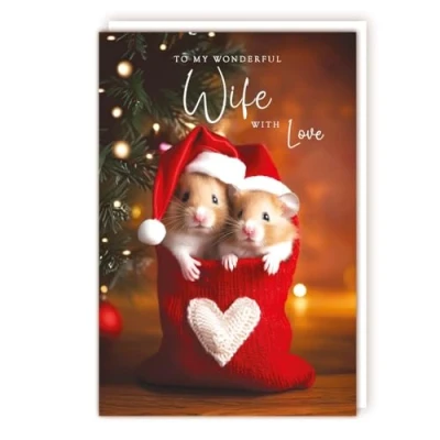 Image of Wife Christmas Card Wonderful Wife, with Love Hamsters in a Stocking Festive Design Made the UK Eco Friendly