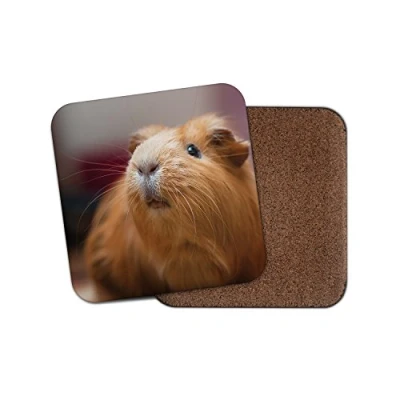 Image of 1 x Cute Ginger Guinea Pig Cork Backed Drinks Coaster Animal Kids #8353