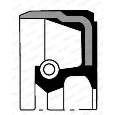 Image of 90122609, 96183314 Camshaft Seal PAYEN NC006 VAUXHALL: ZAFIRA Mk3, Astra Mk5 Sport Hatch, Mk6, OPEL: Kadett D Saloon, H Saloon