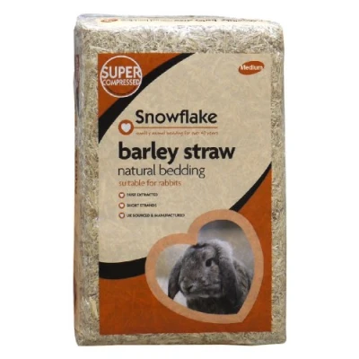 Image of Snowflake Barley Straw, Medium