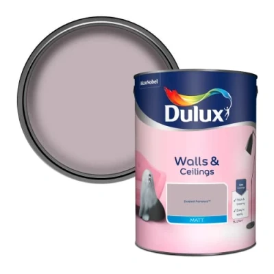 Image of Dulux Walls &amp; Ceilings Matt Emulsion Paint Dusted Fondant 5L
